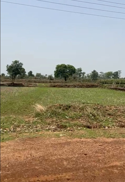  Agricultural Land 6000 Sq.ft. for Sale in Patan, Durg