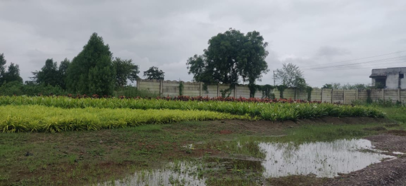  Agricultural Land 9150 Sq.ft. for Sale in Datrenga, Raipur