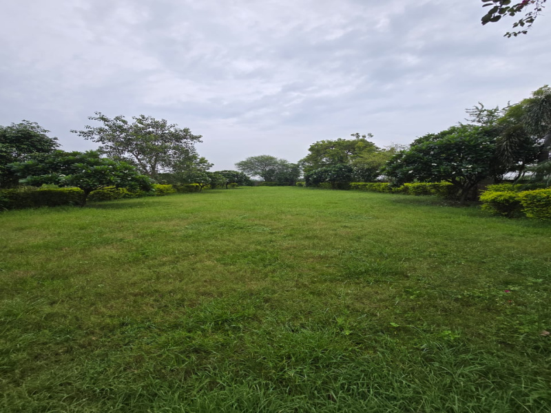  Residential Plot 1500 Sq.ft. for Sale in Sejbahar, Raipur