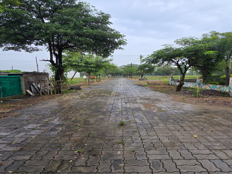  Residential Plot 1000 Sq.ft. for Sale in Sejbahar, Raipur