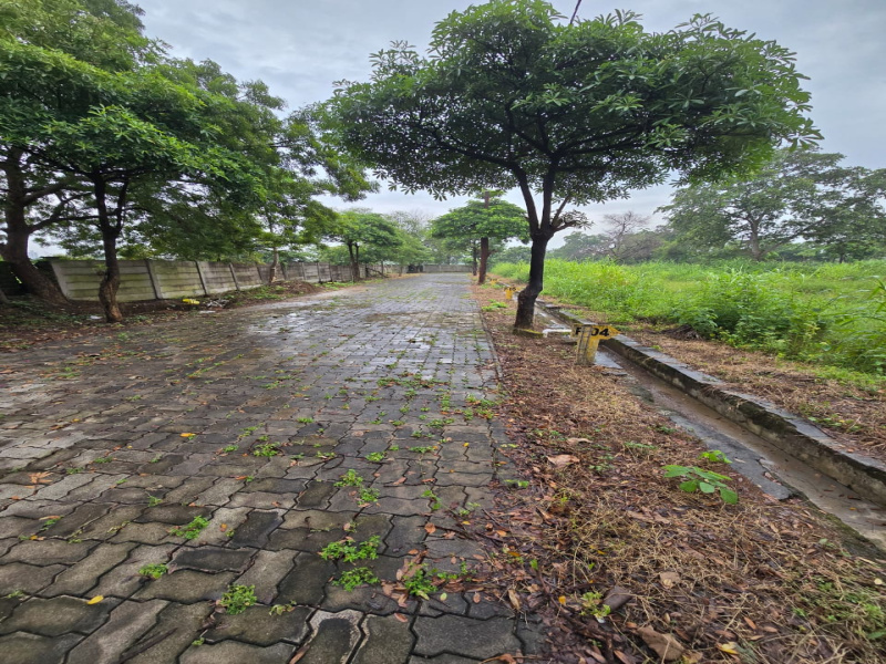  Residential Plot 880 Sq.ft. for Sale in Sejbahar, Raipur