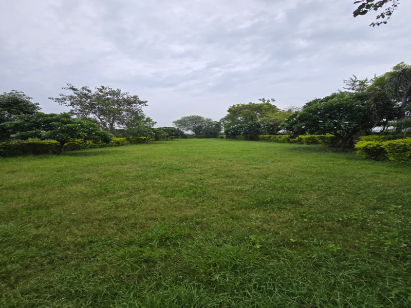  Residential Plot 880 Sq.ft. for Sale in Sejbahar, Raipur