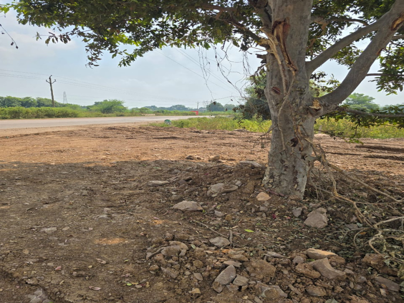 19600 Sq.ft. Commercial Land for Sale in Bhilai Charoda, Durg