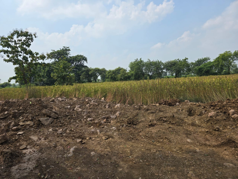  19600 Sq.ft. Commercial Land for Sale in Bhilai Charoda, Durg