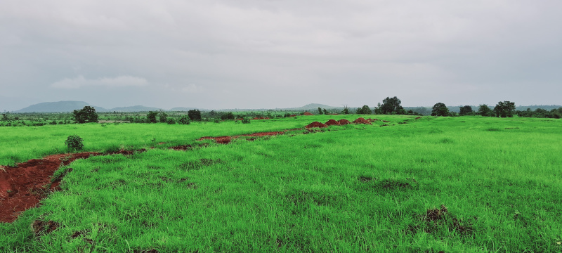  Agricultural Land 4 Acre for Sale in Shahapur, Thane