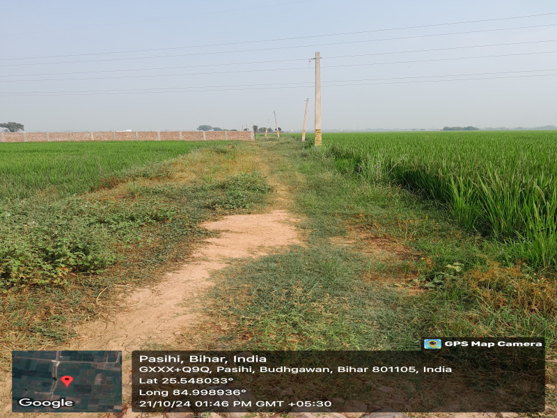  Residential Plot 17693 Sq.ft. for Sale in Chirora, Patna