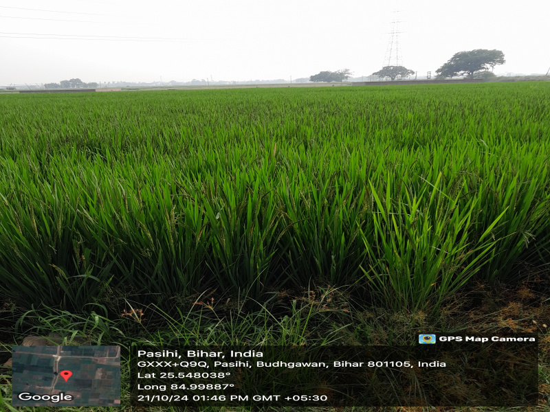  Residential Plot 17693 Sq.ft. for Sale in Chirora, Patna