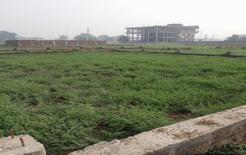  1200 Sq.ft. Residential Plot for Sale in Anisabad, Patna