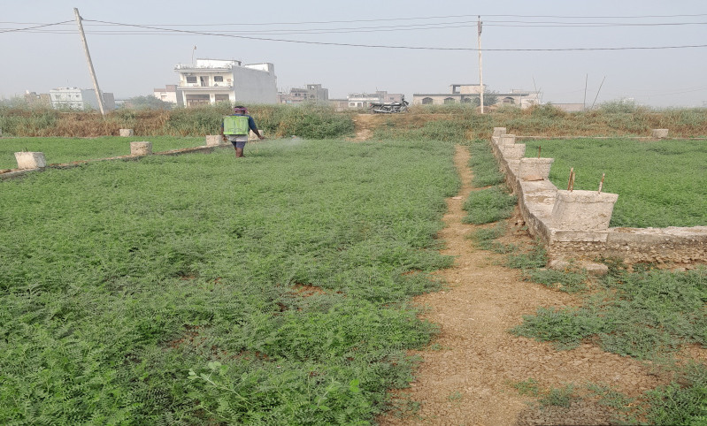  1200 Sq.ft. Residential Plot for Sale in Anisabad, Patna