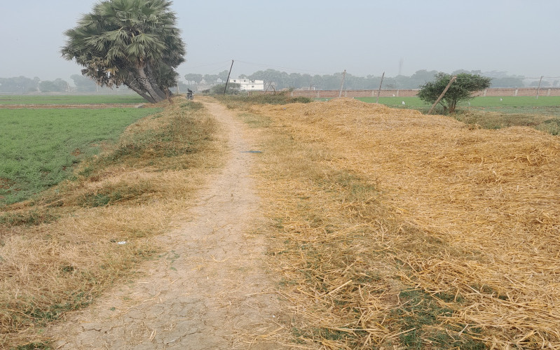 1361 Sq.ft. Residential Plot for Sale in Anisabad, Patna