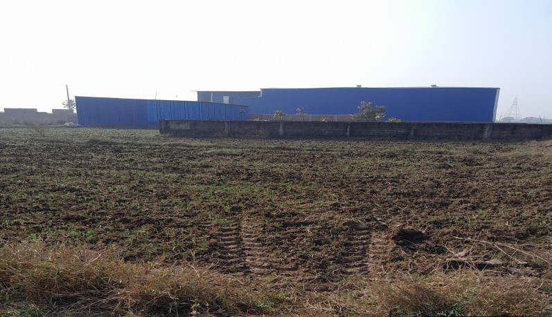  1361 Sq.ft. Residential Plot for Sale in Phulwari Sharif, Patna
