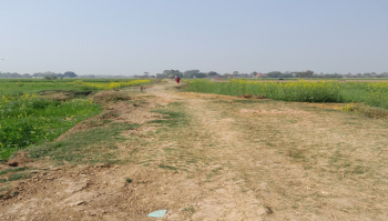  Residential Plot for Sale in Punpun, Patna