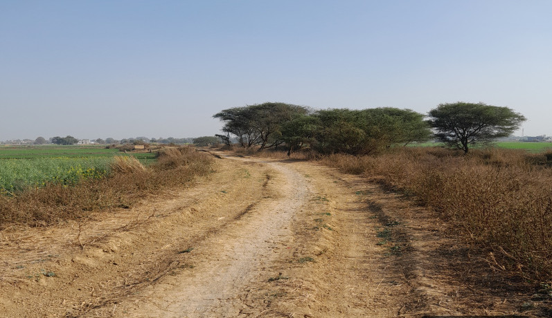  1361 Sq.ft. Residential Plot for Sale in Anisabad, Patna