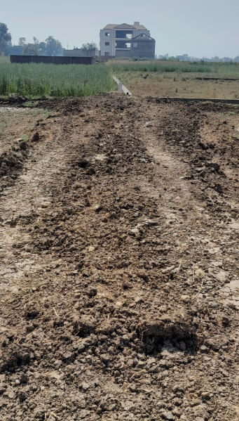  1361 Sq.ft. Residential Plot for Sale in Anisabad, Patna