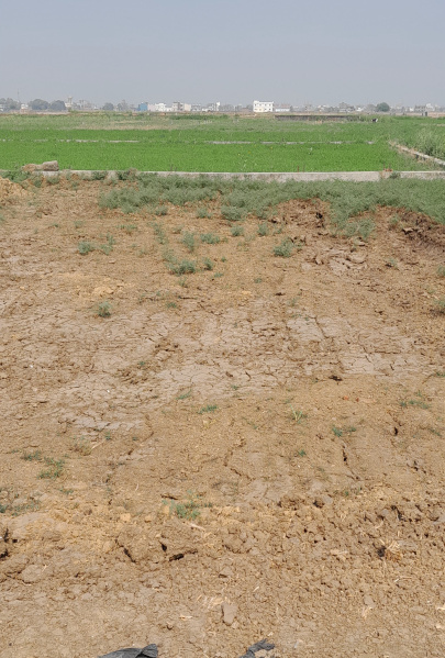  1361 Sq.ft. Residential Plot for Sale in Anisabad, Patna