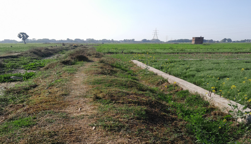  1361 Sq.ft. Residential Plot for Sale in Punpun, Patna