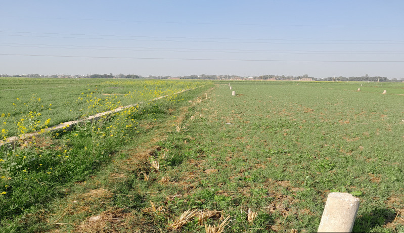  1361 Sq.ft. Residential Plot for Sale in Punpun, Patna