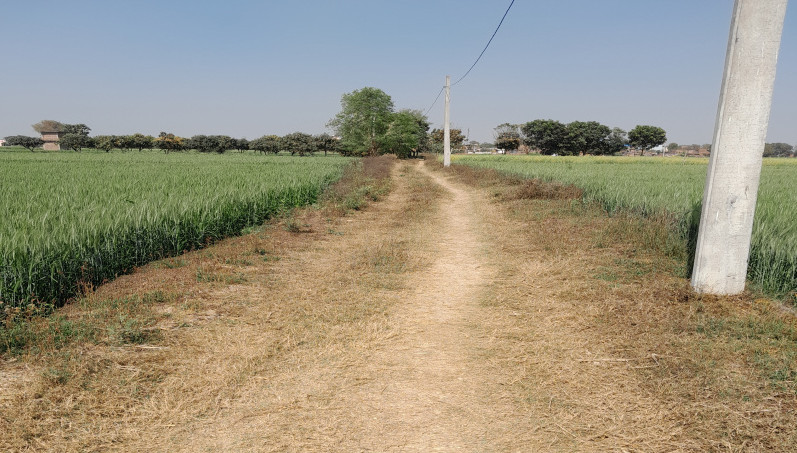  9527 Sq.ft. Residential Plot for Sale in Punpun, Patna