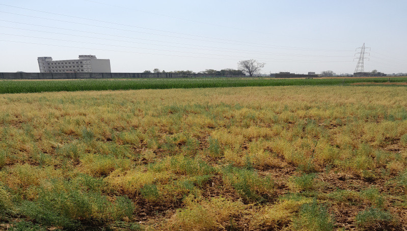  9527 Sq.ft. Residential Plot for Sale in Punpun, Patna