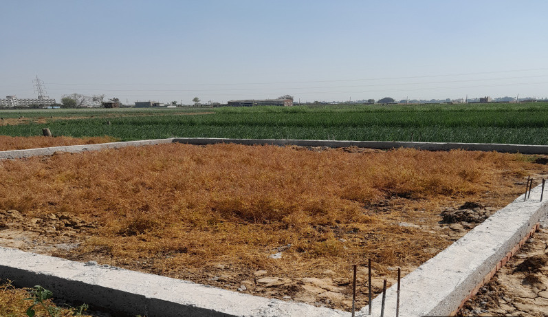  1361 Sq.ft. Residential Plot for Sale in Punpun, Patna