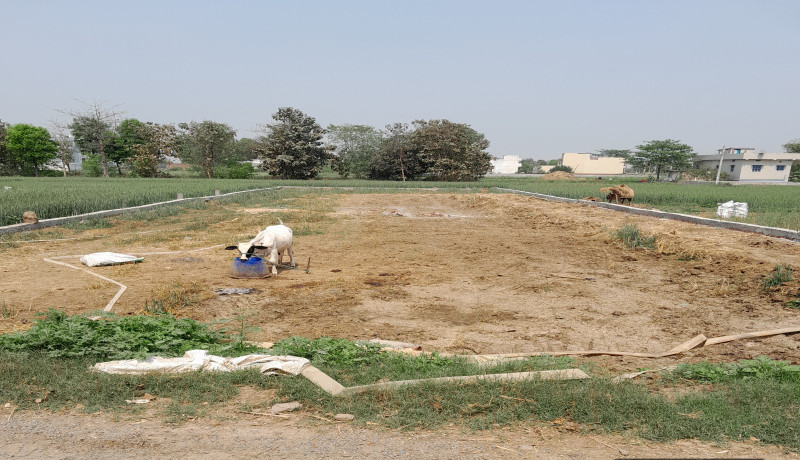  1361 Sq.ft. Residential Plot for Sale in Anisabad, Patna