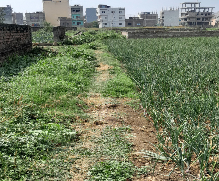  1200 Sq.ft. Residential Plot for Sale in Bairiya, Patna