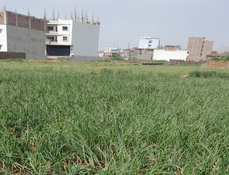  1180 Sq.ft. Residential Plot for Sale in Jaganpura, Patna
