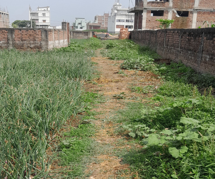  1180 Sq.ft. Residential Plot for Sale in Jaganpura, Patna