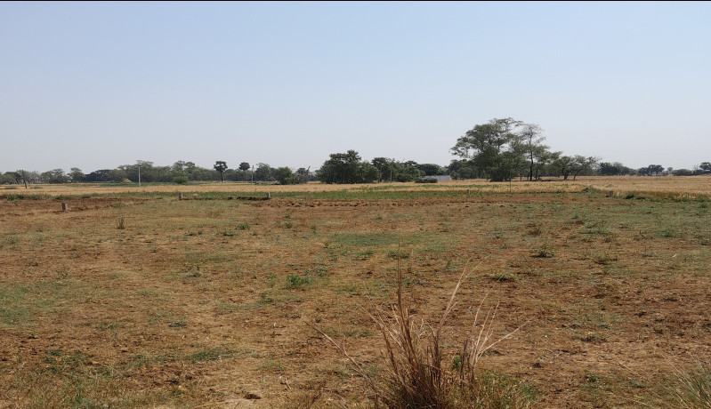  18 Katha Agricultural/Farm Land for Sale in Masaurhi, Patna
