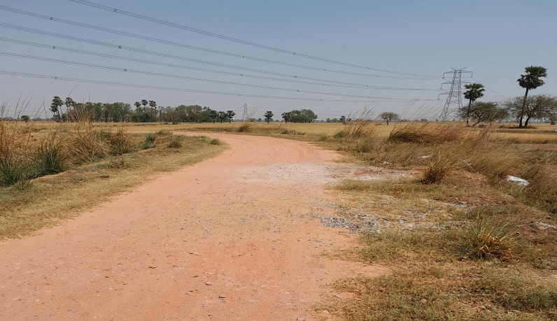  18 Katha Agricultural/Farm Land for Sale in Masaurhi, Patna