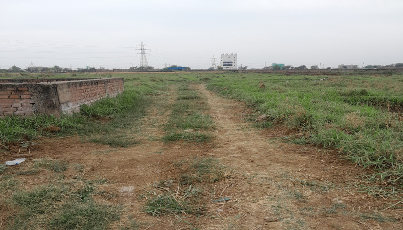  600 Sq.ft. Residential Plot for Sale in Sampatchak, Patna