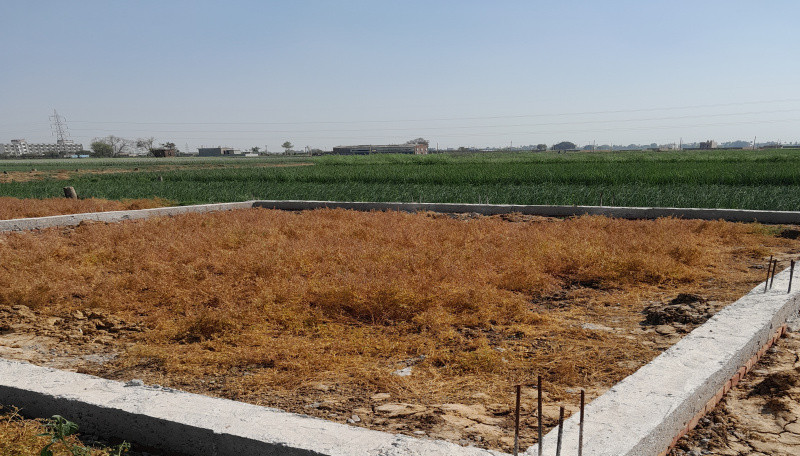  15 Katha Residential Plot for Sale in Punpun, Patna