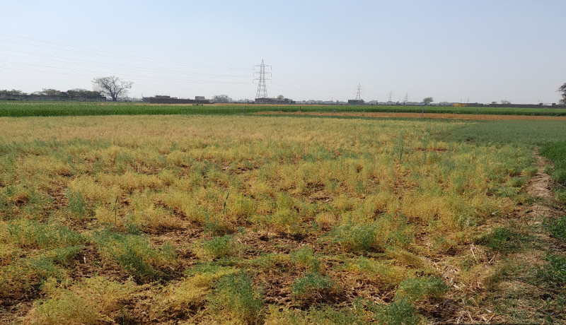  5 Katha Residential Plot for Sale in Punpun, Patna