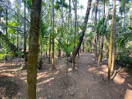  Agricultural Land for Sale in Alibag, Raigad