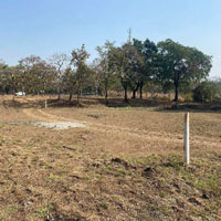  Agricultural Land for Sale in Agarsure, Alibag, Raigad