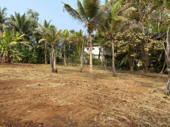  Agricultural Land for Sale in Nagaon, Alibag, Raigad
