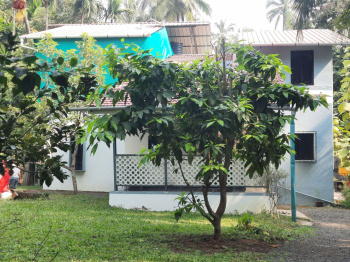 3 BHK House for Sale in Nagaon, Alibag, Raigad