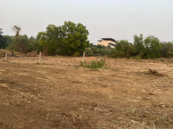  Residential Plot for Sale in Nagaon, Alibag, Raigad