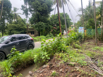  Residential Plot for Sale in Nagaon, Alibag, Raigad