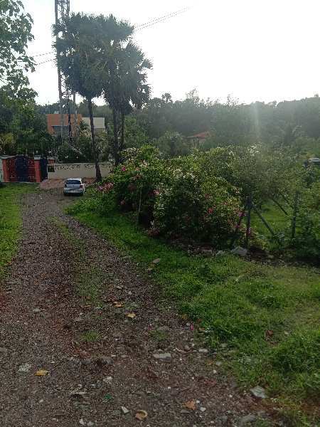 Agricultural Land 2 Acre for Rent in Uttan, Mumbai