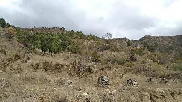  Agricultural Land for Sale in Mashobra, Shimla