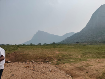  Agricultural Land for Sale in Udumalaipettai, Tirupur