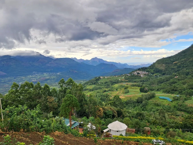  150 Cent Commercial Land for Sale in Marayoor, Idukki