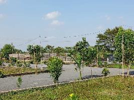  Residential Plot for Sale in Naya Raipur, Raipur