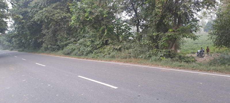  Agricultural Land 14 Bigha for Sale in Sarsawan, Saharanpur