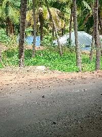  Agricultural Land for Sale in Tenkasi, Tirunelveli