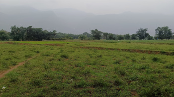  Agricultural Land for Sale in Alwarkurichi, Tirunelveli