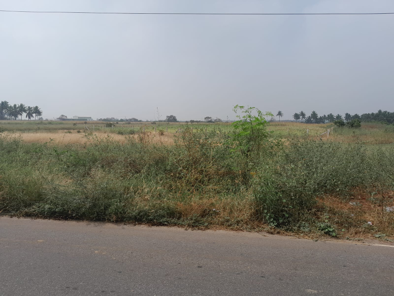  Residential Plot 50 Cent for Sale in Vellalore, Coimbatore