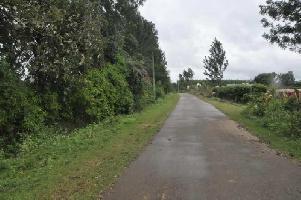  Agricultural Land for Sale in Kaimara, Chikmagalur