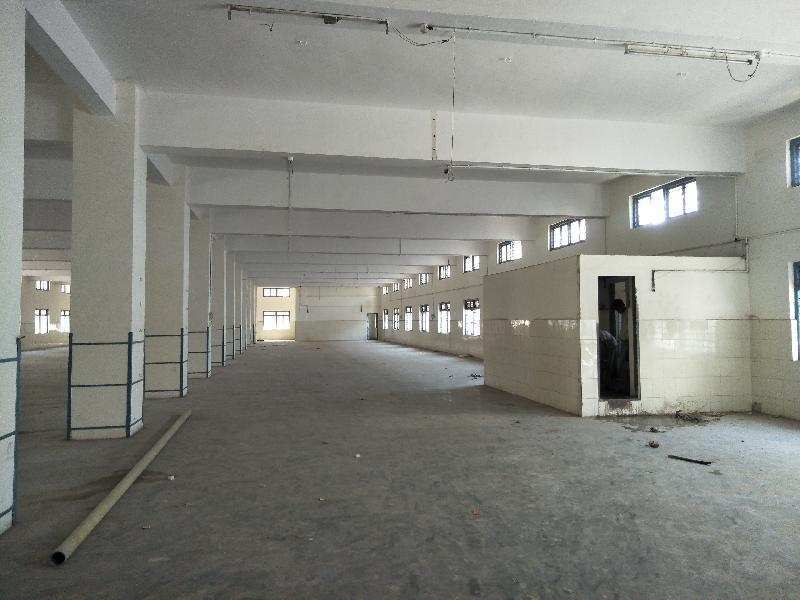 Warehouse 1400 Sq.ft. for Rent in New Industrial Township 1, Faridabad